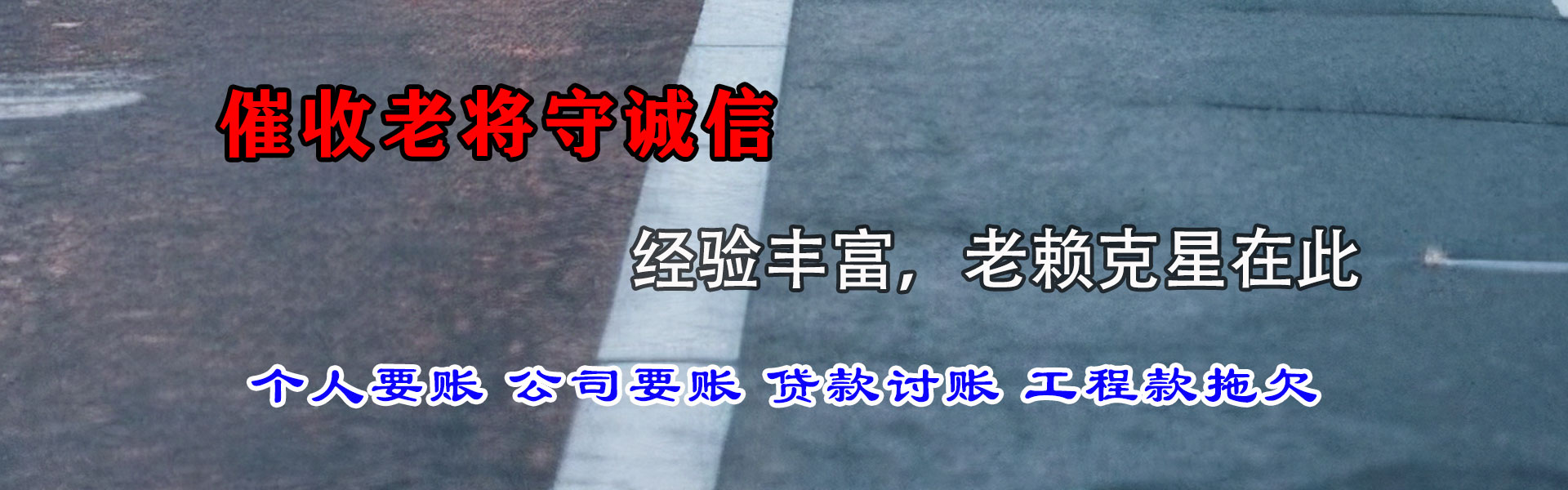 陆丰讨账公司