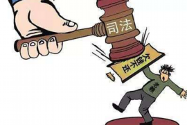 东北虎上门催收：揭秘逾期债务催收的神秘面纱