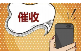 蚂蚁花呗上门讨债:揭秘消费信贷的催收难题 蚂蚁花呗上门讨债:揭秘消费信贷的催收难题