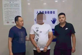 破产公司追讨债务:策略、法律途径与案例分析 破产公司追讨债务:策略、法律途径与案例分析
