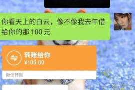 苏宁催收投诉哪里——解析您的权益与途径 苏宁催收投诉哪里——解析您的权益与途径