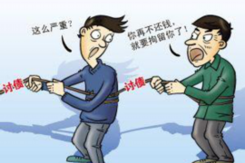 莫力达瓦旗清数公司哪家好？专业服务，为您量身定制