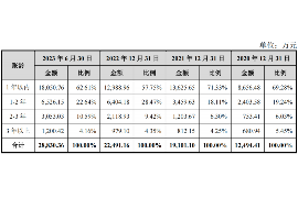 沧州收债公司哪里找？专业团队助您高效追回欠款