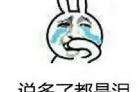 /img/2174.png/img/2174.png闪电借款找人上门催收6：现代金融下的催收现象解读/img/2174.png/img/2174.png