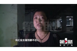讨债上门不让做生意:如何应对债务危机,维护企业正常运营 讨债上门不让做生意:如何应对债务危机,维护企业正常运营