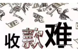 射阳清数公司：揭秘数字时代的清洁能源解决方案