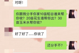 昭苏催账公司：专业高效，助力企业资金周转