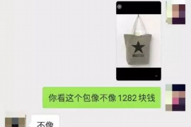 福田新成立的催收公司：业务模式、行业影响与发展前景
