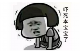 辽宁征信负债逾期催收:揭秘逾期处理策略与案例分析 辽宁征信负债逾期催收:揭秘逾期处理策略与案例分析