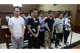 新办的卡催收电话：如何有效应对催收挑战