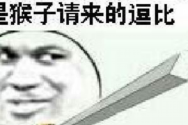 银行PD债务催收：策略、实践与法律考量