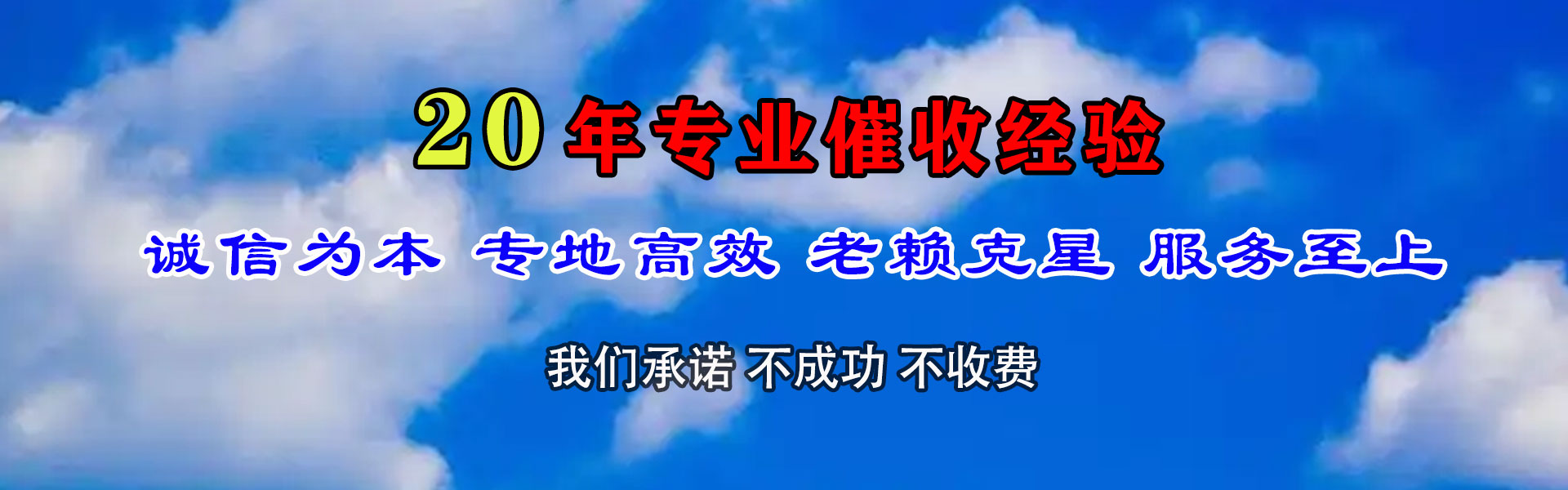 巨野清数公司