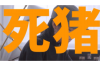 追讨债务律师多少钱？揭秘债务追讨费用那些事儿