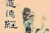 菠萝应急催收猛吗？——深入解读催收行业的现状与挑战