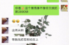 求职讨债17万：揭秘职场中的债务困境与应对策略